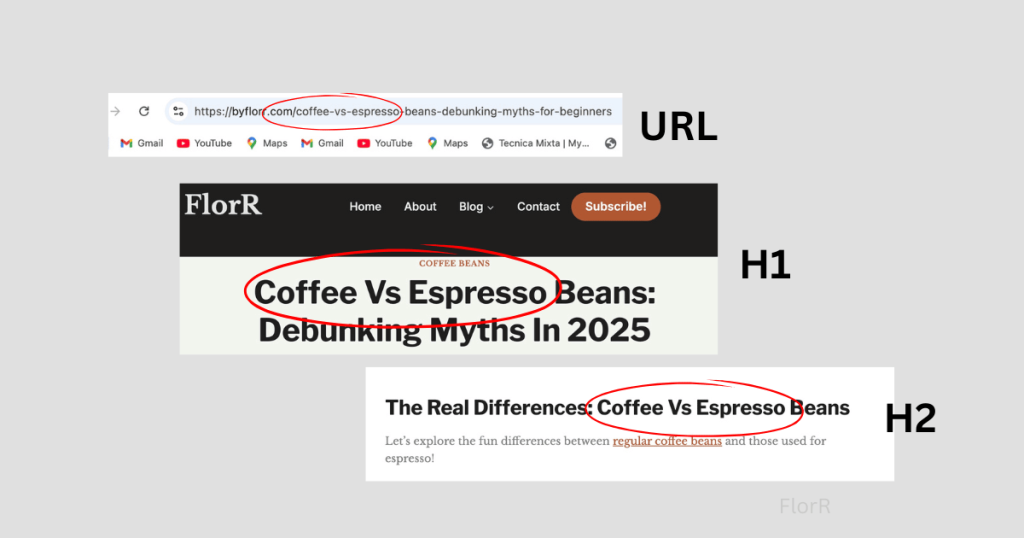 ¿Qué Rol Juegan las URLs en la Optimización SEO On-Page de Cafeterías?