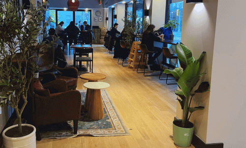 Carmela Coffee Shop Greenwich Village interior featuring leather chairs, a rug, wooden tables, plants, and customers working along the bright window bar.