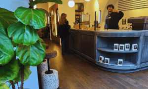 Interior of Hungry Ghost Coffee in the West Village showing a friendly barista behind a curved wooden counter, cozy seating, and lush green plants near the window.