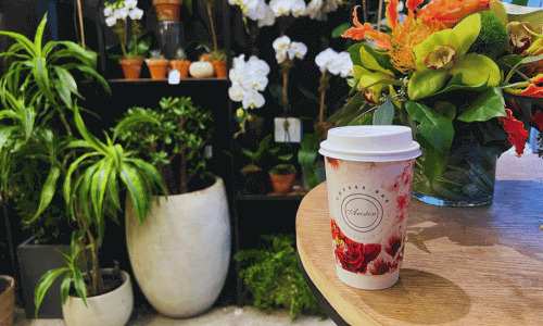 Ariston Coffee Bar Greenwich Village cup of coffee placed on a wooden table surrounded by lush plants and colorful flowers inside the café.