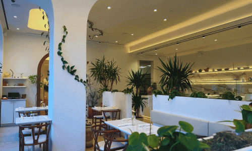 Bright interior of OASES Cafe in Chelsea with white arches, minimalist tables, and lush indoor plants creating a calm, modern café atmosphere.