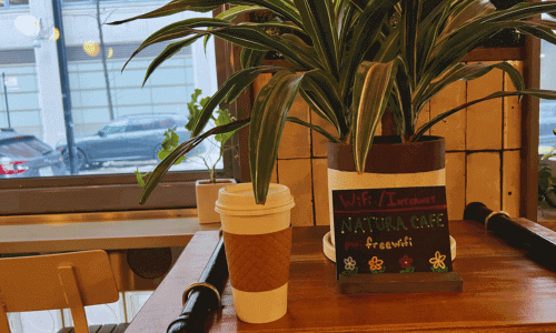 Natura Café Chelsea – Coffee at Dream Downtown Hotel 6 Cafe Latte at Natura Cafe Chelsea – Cozy Interior Coffee in Chelsea NYC 1 1 1 1 1 1 1