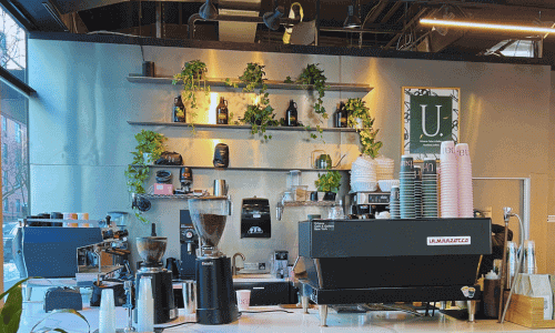 Urbana Cafe and Gallery Chelsea – Best Coffee & Art NYC 1 The espresso bar at Urbana Cafe and Gallery in Chelsea featuring a La Marzocco machine, coffee grinders, stacked cups, and shelves with plants and bottles.