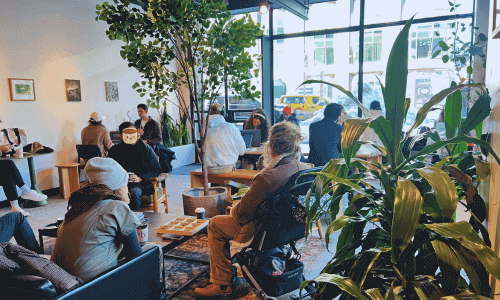 Urbana Cafe and Gallery Chelsea – Best Coffee & Art NYC 3 Cozy interior of Urbana Cafe and Gallery Chelsea with customers seated near large windows, indoor trees, and abundant natural light.