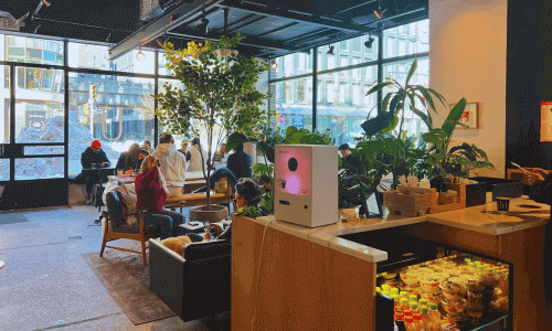 Urbana Cafe and Gallery Chelsea – Best Coffee & Art NYC 2 Street view through large windows at Urbana Cafe and Gallery Chelsea with customers seated inside, plants, and natural light filling the space.