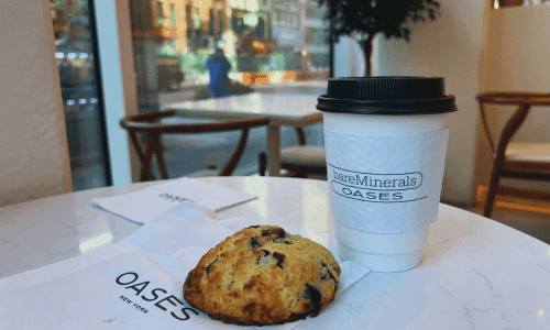 Cafe Latte and Blueberry Scone at Oases Coffee Shop Chelsea Near Union Square NYC 1 1 1 1 1 1 1 1 1