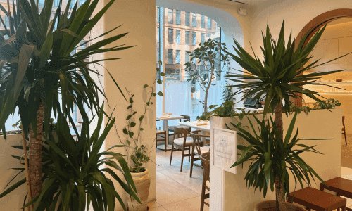 Interior of Oases Coffee Shop Chelsea at 14th St and 6th Ave Near Union Square NYC 1 1 1 1 1 1 1 1 1 1 1 1