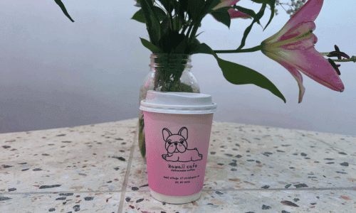 Kawaii Coffee West Village – Best Vietnamese Coffee NYC 6 kawaii coffee west village latte condensed milk vietnamese coffee nyc 1 1 1 1 1 1 1 1 1 1