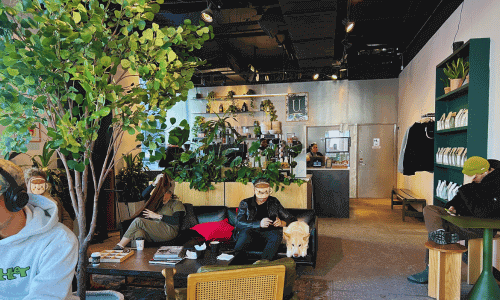 interior de Urbana Cafe and Gallery Chelsea NYC con plantas asientos y arte cerca del High Line